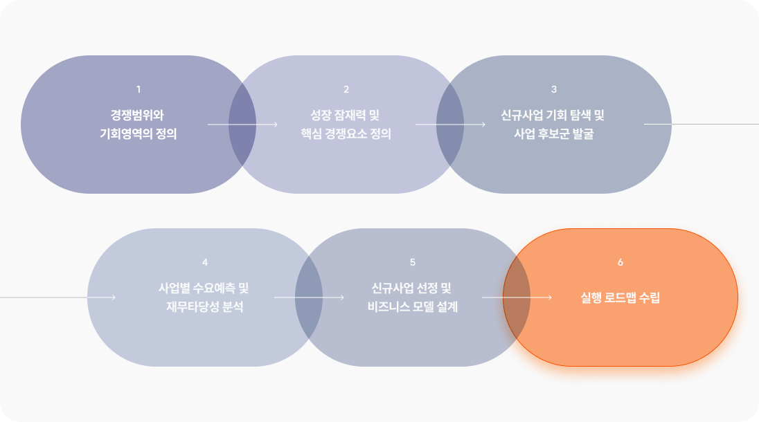 1. 경쟁범위와 기회영역의 정의 2. 성장 잠재력 및 핵심 경쟁요소 정의 3. 신규사업 기회 탐색 및 사업 후보군 발굴 4. 사업별 수요예측 및 재무타당성 분석 5. 신규사업 선정 및 비즈니스 모델 설계 6. 실행 로드맵 수립