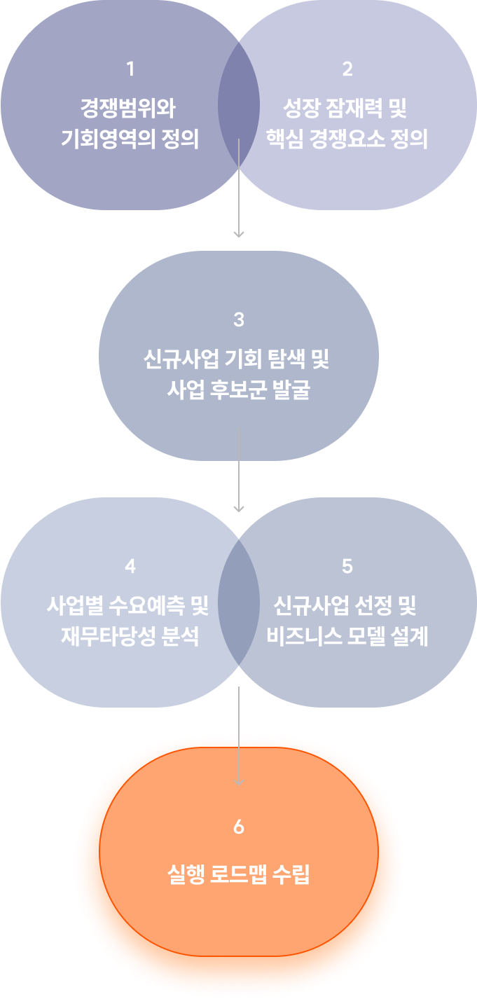 1. 경쟁범위와 기회영역의 정의 2. 성장 잠재력 및 핵심 경쟁요소 정의 3. 신규사업 기회 탐색 및 사업 후보군 발굴 4. 사업별 수요예측 및 재무타당성 분석 5. 신규사업 선정 및 비즈니스 모델 설계 6. 실행 로드맵 수립